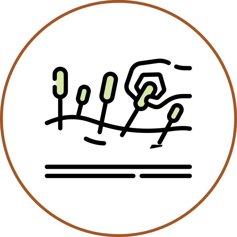 Tradiční čísnká medicína